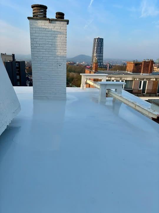 Toiture plate en ville